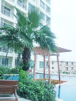 Sukhumvit Plus condominium | apartment for rent in Sukhumvit 46